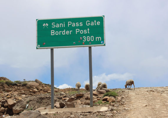 about pack safari 4072 570x400