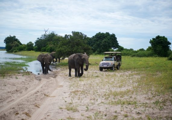 Home Page Back up botswana 570x400