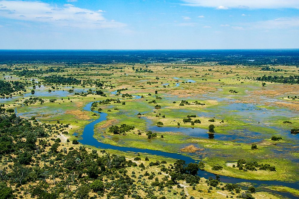 Home Page Back up okavango delta botswana