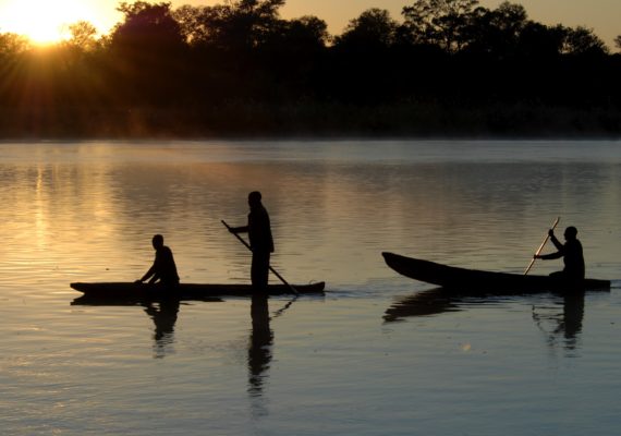 picture 100 570x400